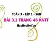 Bài 3.1 trang 48 Toán 9 tập 1 Kết nối tri thức